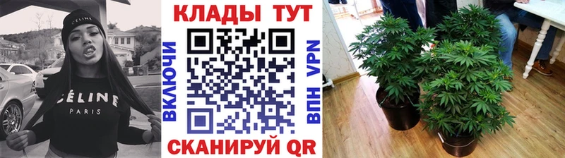 Какие есть наркотики Великий Устюг МАРИХУАНА  Кокаин  СК  МЕФ 