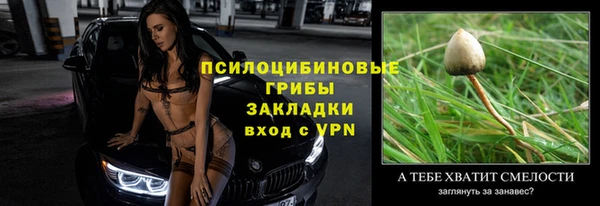 дмт Белокуриха