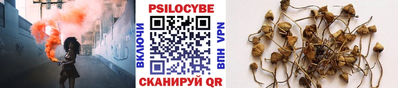 где купить Великий Устюг Псилоцибиновые грибы мицелий